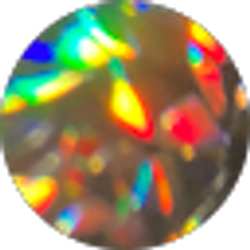 Profile photo of Derrick Doeleky