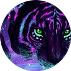 Profile photo of SAN KRIER