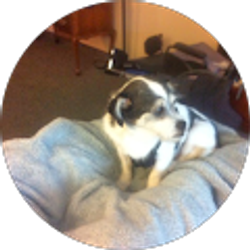 Profile photo of Jo Anne Coffenberry