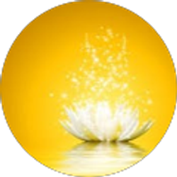 Profile photo of Kim Lien Dinh