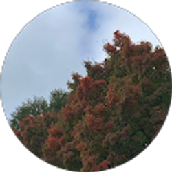 Profile photo of Andrew Bridges