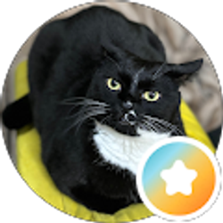 Profile photo of Neal
