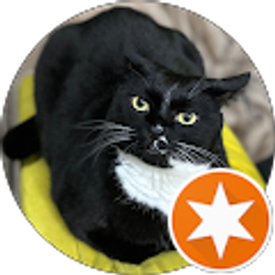 Profile photo of Neal