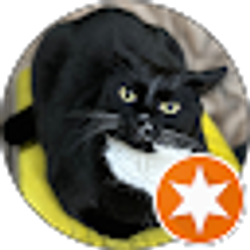 Profile photo of Neal