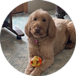 Profile photo of Linda VanWyck