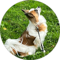 Profile photo of Hyunjeong Kim