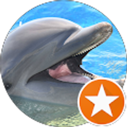 Profile photo of April Zawlocki