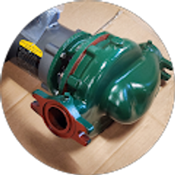 Profile photo of Jesus Beltran