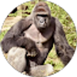 Profile photo of Justin Willborn