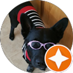 Profile photo of KymnChrista Chavez