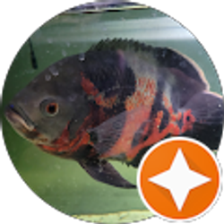 Profile photo of William