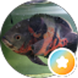 Profile photo of William