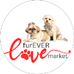 Profile photo of Joyce Lehn