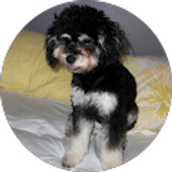 Profile photo of Linda Jackson