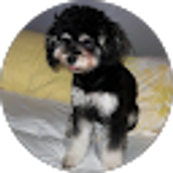 Profile photo of Linda Jackson