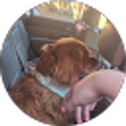 Profile photo of Jonathan
