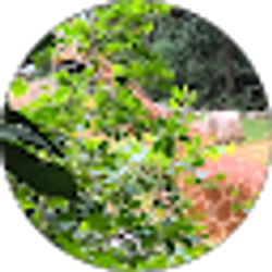 Profile photo of M.