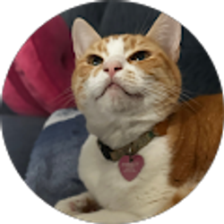 Profile photo of Olivia Wang