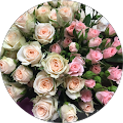 Profile photo of Rut Puc