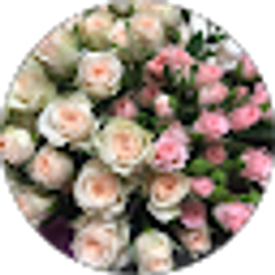 Profile photo of Rut Puc