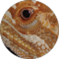 Profile photo of Amy Rice