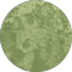 Profile photo of Delaney Shore