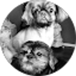 Profile photo of drd aka Diane