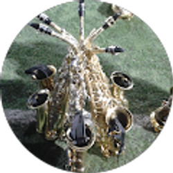 Profile photo of Ian Sadamoney