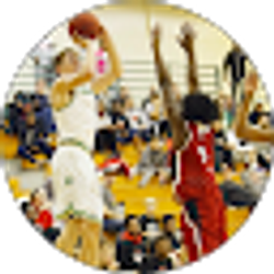 Profile photo of David Viti