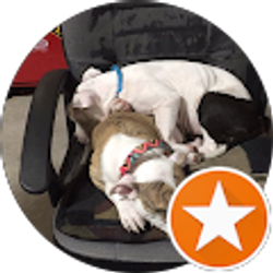 Profile photo of Mary Bracey