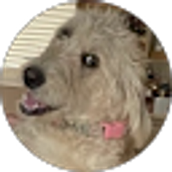 Profile photo of J T