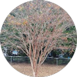 Profile photo of J Freeman