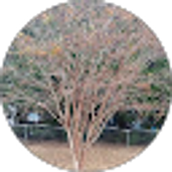Profile photo of J Freeman