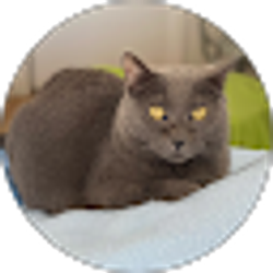 Profile photo of Lorlie Valderama