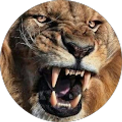 Profile photo of Dottie Jones