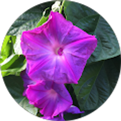 Profile photo of Angela Goss