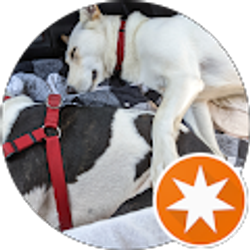 Profile photo of Terry Elliott