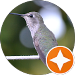 Profile photo of R Campbell