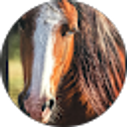 Profile photo of Diane Bilde