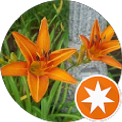 Profile photo of W.T C