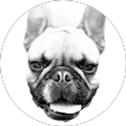 Profile photo of Nicholas Mapp