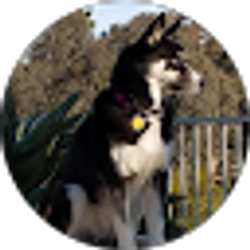 Profile photo of Mom C
