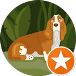 Profile photo of Steven Roy