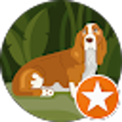 Profile photo of Steven Roy