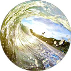 Profile photo of Kristy M