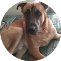 Profile photo of Rachel Gipson