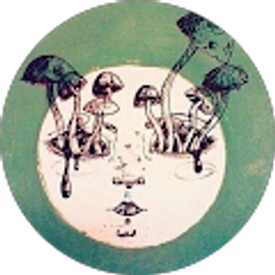 Profile photo of Kat May