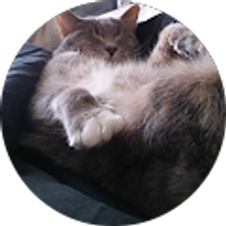 Profile photo of Ethan Mott