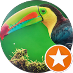 Profile photo of Latrice