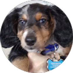 Profile photo of Martha Neloms